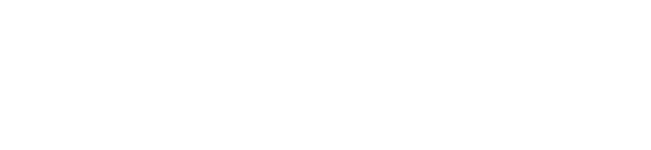 Logo Sollua